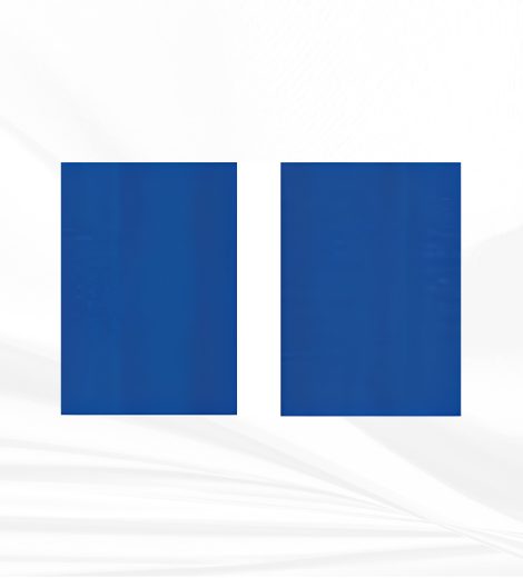 T2